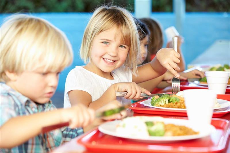 La educación alimentaria: “Una inversión en salud a largo plazo”